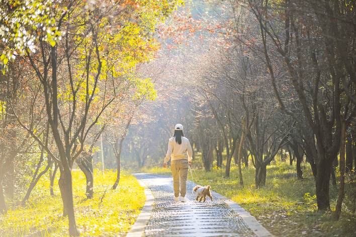 合肥蜀山西扩公园景色宜人，市民在林间小道散步。李晓艳 摄